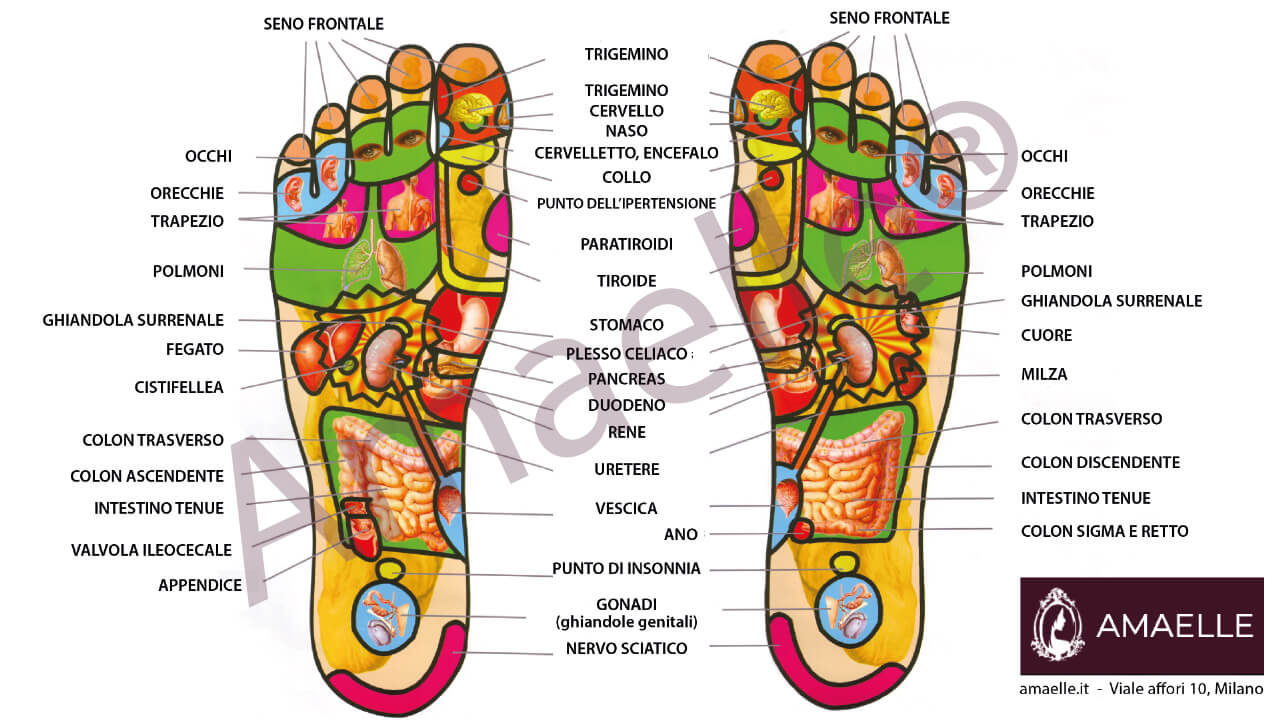 Mappa riflessologia plantare